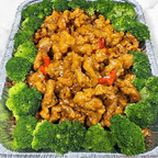 Best General Tso's Chicken (Party) in Lake Park, FL
